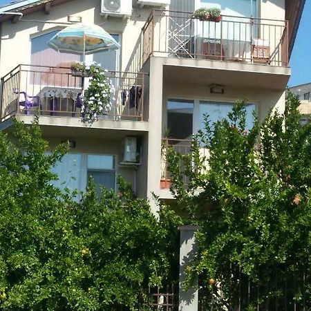 Faina Guest House Rezowo Zewnętrze zdjęcie