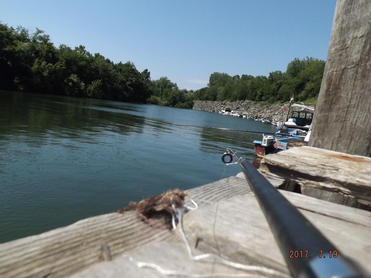 Faina Guest House Rezowo Zewnętrze zdjęcie