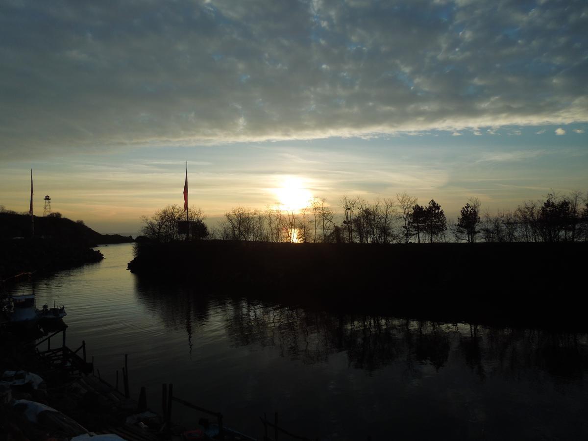 Faina Guest House Rezowo Zewnętrze zdjęcie